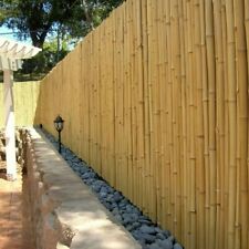 Natural bamboo garden for sale  USA