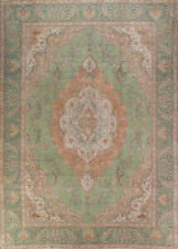 light green carpet 8 x 10 for sale  Charlotte