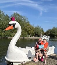 Swan pedalo pedal for sale  NORWICH