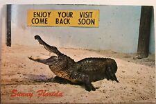 florida alligator souvenirs for sale  Wilmington