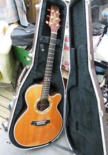Takamine guitar hard for sale  Shipping to Ireland