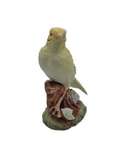 Yellow canary bird for sale  Miami
