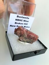 Natural australian bustamite for sale  Ontario