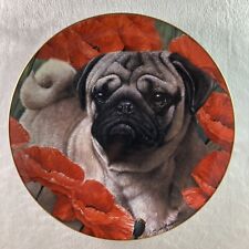 Poppy love plate for sale  Vergas