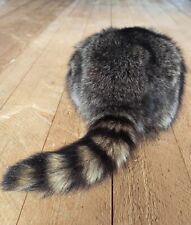 Coonskin cap natural for sale  Hayward