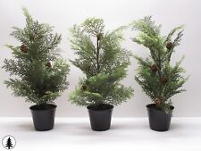 Set artificial pine for sale  Florissant