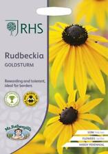 Rudbeckia goldsturm 200 for sale  NEWMARKET