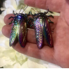 Lucky cicada psychedelic for sale  Ireland