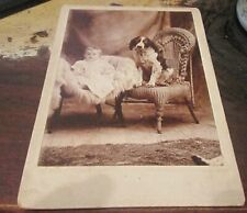 Used, Antique Cabinet Mounted Photo, Baby on Fur & Spaniel Dog on Chair for sale  Shipping to South Africa