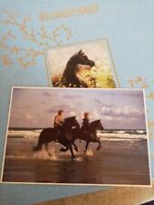 Pferdepostkarte friesen strand gebraucht kaufen  Bad Camberg