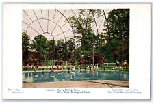 Usado, Cartão postal antigo c1910's vista interior gaiola voadora parque zoológico de Nova York NY comprar usado  Enviando para Brazil