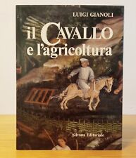 Cavallo agricoltura luigi usato  Mantova