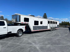 2006 merhow horse for sale  Walnutport