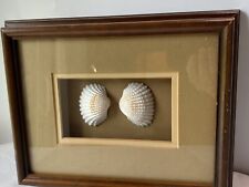 Seashell framed art for sale  Alvin