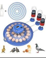 Eggs incubator hatching for sale  Topanga