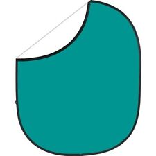 Savage Collapsible/Reversible Background (5 x 6', Teal/White) CB164 for sale  Shipping to South Africa