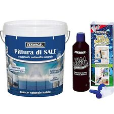 Teknica pittura sale usato  Forio