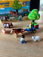 Playmobil 123 sommerweide gebraucht kaufen  Reichenbach