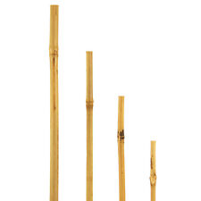 Bellissa bambusstäbe bambusst gebraucht kaufen  München
