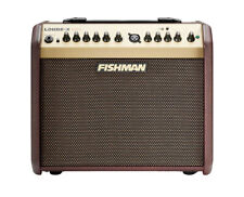 Fishman loudbox mini for sale  Winchester