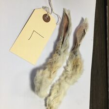 Preserved rabbit ears for sale  IPSWICH
