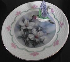 Beautiful humming bird for sale  LINCOLN