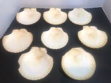 8 Decorative Natural Clam Shells or Scallop Baking Serving Dishes ~ 5" - 5.5", used for sale  Shipping to South Africa