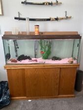 55 gallon fish tank, hood(with light), stand, fluval cannister filter, decor for sale  Brighton
