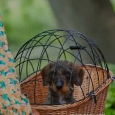 wicker dog basket for sale  CREDITON