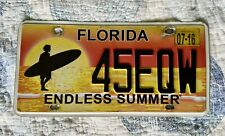 Florida endless summer for sale  Shipping to Ireland