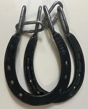 Classic horse shoe for sale  Claremont