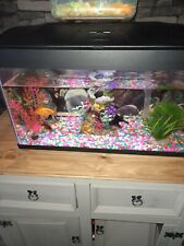 Complete fish tank for sale  WIGTON