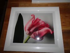 Wandbilder serie tulpen gebraucht kaufen  Ilvesheim
