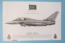 Squadron prints typhoon for sale  BUCKHURST HILL