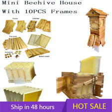 Mini wooden bee for sale  USA