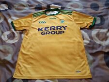Official kerry gaa for sale  CRAIGAVON