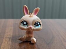 Littlest pet shop for sale  Greencastle