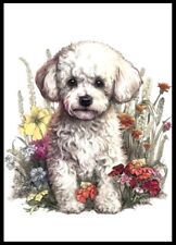 Bichon frise charming for sale  Shipping to Ireland