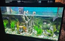 Gallons fish tank for sale  High Point