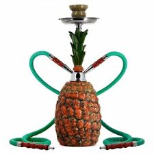 Chicha ananas d'occasion  La Gaude