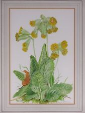 Cowslips original watercolour for sale  CHESTER