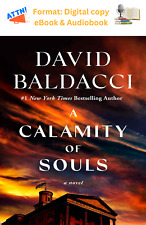 Calamity souls david for sale  Dalzell
