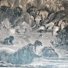 Antique Engraving Book Plate Illustration Print Jungle Wildlife Animals Bathing for sale  Shipping to South Africa