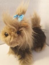 Yorkie yorkshire terrier for sale  MOLD