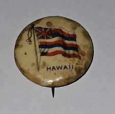 hawaii badge for sale  Campbellsport