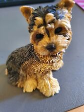 Yorkshire terrier puppy for sale  WARRINGTON