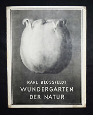 Karl blossfeldt wundergarten gebraucht kaufen  Weststadt