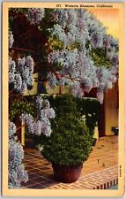 Vintage Wisteria Blossoms on a Veranda CA California Postcard c1943 for sale  Shipping to South Africa