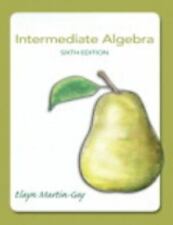 Intermediate algebra martin for sale  Aurora