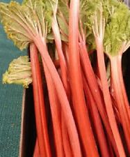 Victoria rhubarb pieplant for sale  Massillon